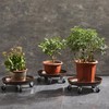2 Pack 16" Heavy Duty Plant Dolly with Wheels, 320lbs