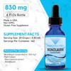 Absonutrix Monolaurin Liquid Extract - 4oz Liquid, 830 mg 142