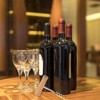 Stainless Steel T-Shape Manual Wine Opener | Professional Corkscrew |