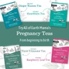 Earth Mama No More Milk Tea | Organic Herbal Tea