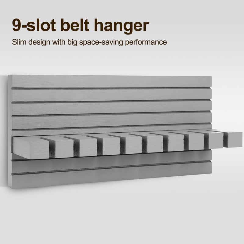 UGZOO Belt Organizer for Closet, Belt Hanger Wall Mounts to