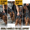 OneTigris Dog Support Harness for Back Legs, Dog Lift Sling