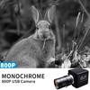 QILOVE Global Shutter USB Camera – 800P Monochrome Ultra High