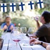 32FT Finland Pennant Small Flag Bunting,30 PCS Mini String Banner