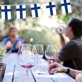32FT Finland Pennant Small Flag Bunting,30 PCS Mini String Banner Stripes Finnish Decor Rectangle for Holiday Restaurant Home Party School