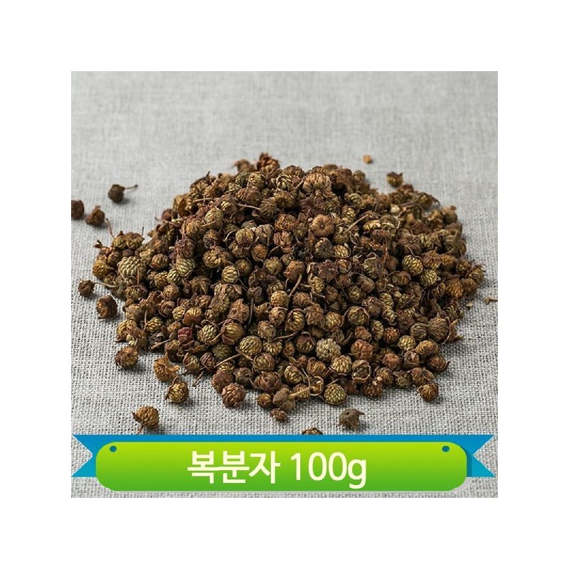 국내산 복분자 100g 열매 약초 건조 건강차 새콤달콤 기력보충 Domestic