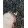 Aemong: Radish tweed butterfly - Long Square / Aemong :