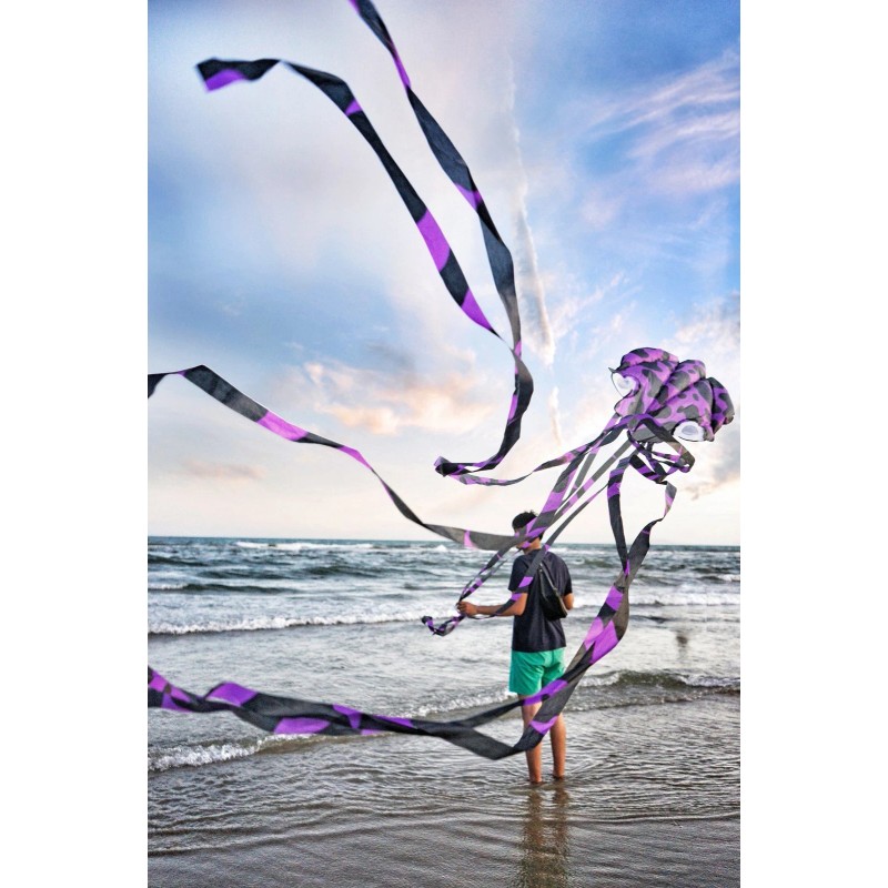 Kizh Kite Octopus Large Frameless Soft Parafoil Kites 157 Inchs