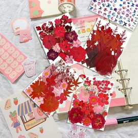 150PCS Red Dried Pressed Flowers with Butterfly Stickers - YouthBro Real Nature Flowers Herb Set for Resin DIY Jewelry Candle Soap Vase Making Nail Card Scrapbook Art Craft Floral Decors