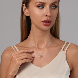 RANKEEF 30th 40th 50th 60th Birthday Gifts for Women 925 Sterling Silver Circle Necklace Birthday Gifts with Card Presents for Women Grandma Mun Wife Sister Jewelry