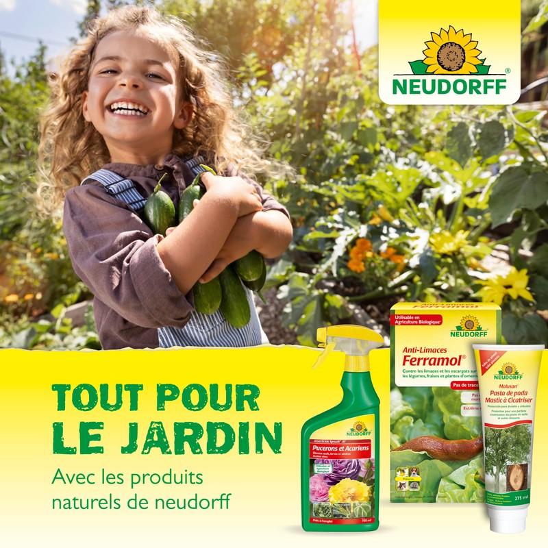 Pyrale du buis Neudorff 100 ml