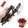 Cherry Pitter with Storage Box| Handheld Cherry Pit Olive Seed
