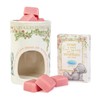 Me to You Tatty Teddy Wax Burner & Wax Melts