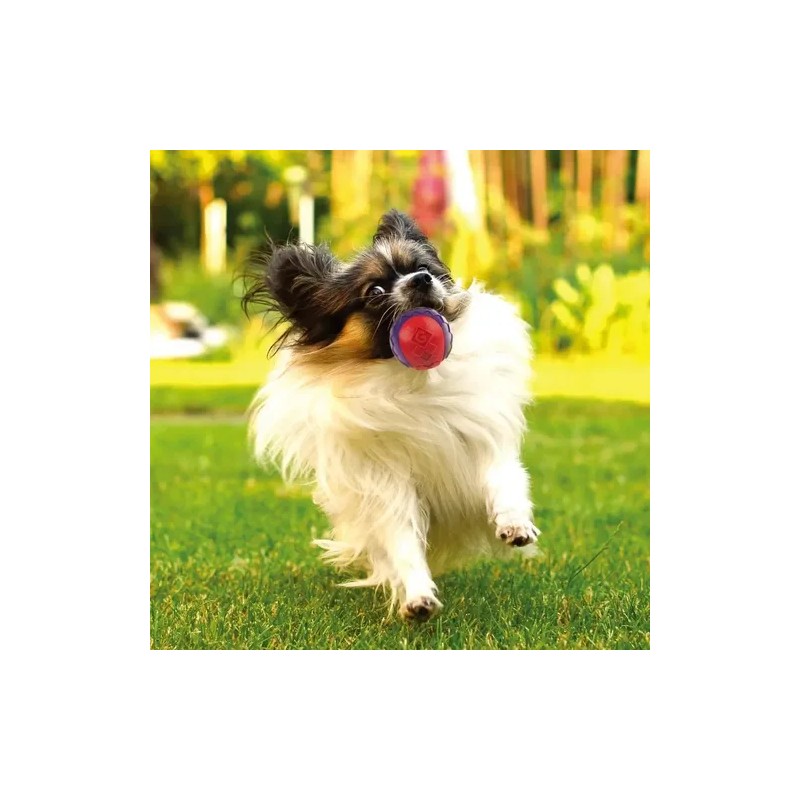Gigwi Ball Pelota Para Perros Masticable Super Resistente Color Naranja