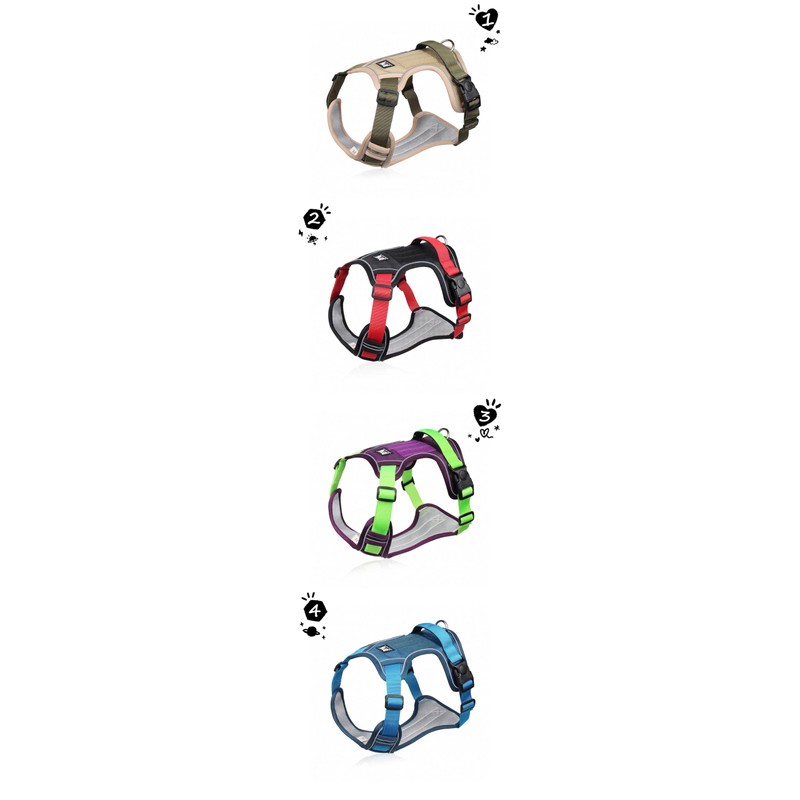 SEVENPENCE Dog Harness No Pull Pet Vest Harness with 2