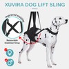 Dog Hip Support Brace - for Surgery Rehabilitation and Mobility