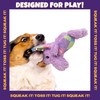 Pet Factory Logical Pet Patchwork Squeaky Plush Dog Toy, Randomly