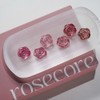 From the Nail Rose Core 6 Piece Set Glitter Magnet