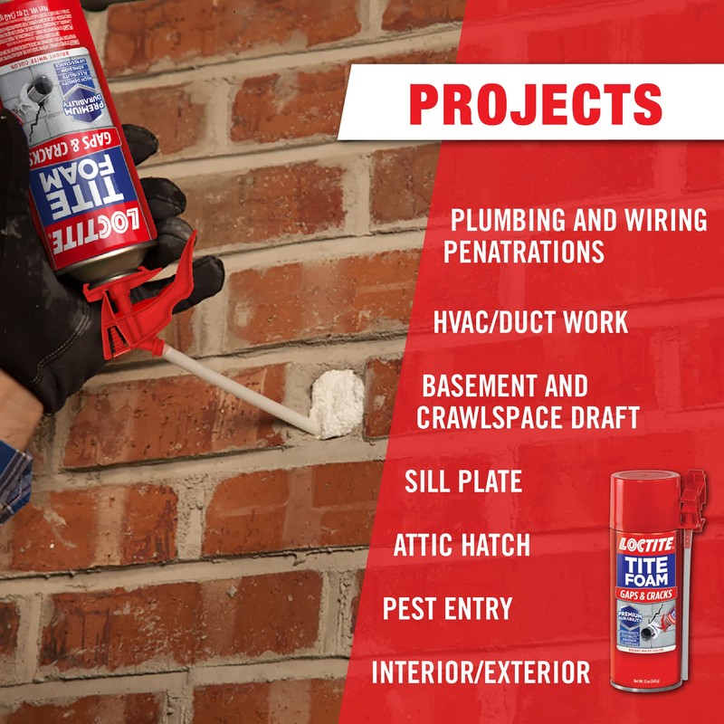 Loctite Tite Foam Gaps & Cracks Insulating Foam Sealant (2-Pack)