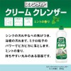 Kaneyo Soap Liquid Cleanser, Stainless Steel, Crimp Cleanser, Mint Scent,