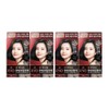 Ryo Uachae Stylish Gray Fish Cream Young Black 2N 4pcs / 려 우아채멋내기새치크림 동안블랙2N 4개