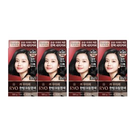 Ryo Uachae Stylish Gray Fish Cream Young Black 2N 4pcs / 려 우아채멋내기새치크림 동안블랙2N 4개