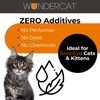 Progressive Planet Wundercat Non-Clumping Cat Litter, 40lbs - Lightweight &