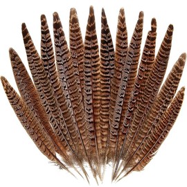 20pcs Female Pheasant Feather Natural Ringneck Tails Feathers 8-10inch 20-25cm for Crafts Home Wedding Party Performance DIY Decoration Pheasant Feather,Female Pheasant Feathers