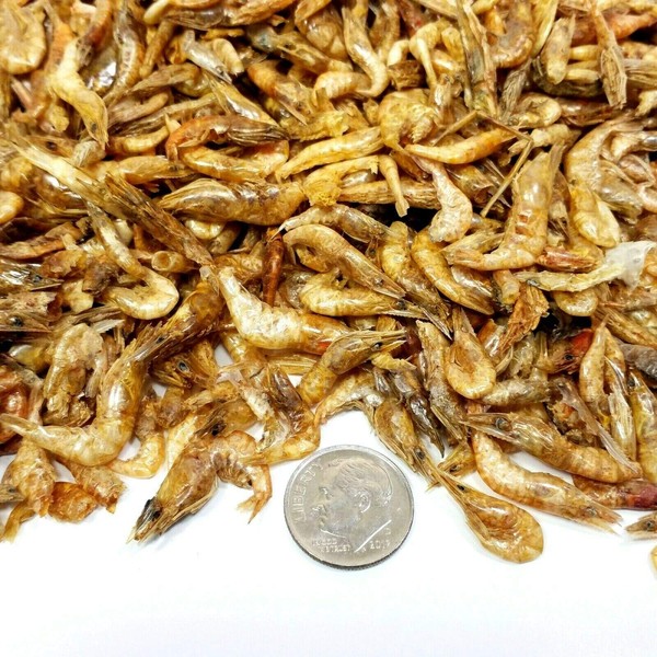 Freeze Dried Red Shrimp - 1/2" to 1&1/4" for All Tropical Fish, Koi, Turtles...1/4-lb