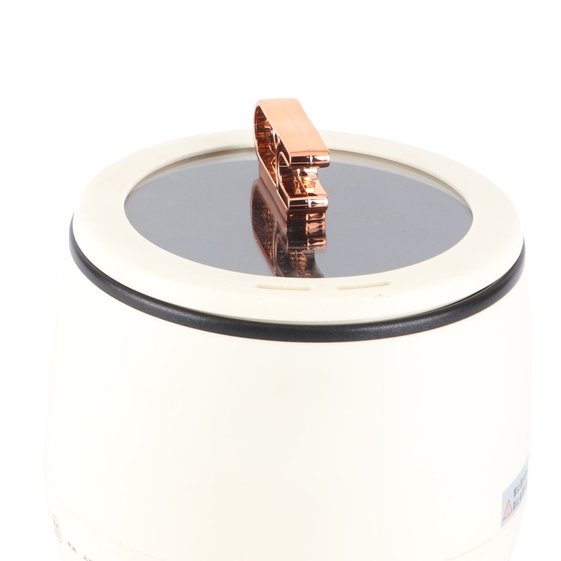 Mini Cooker Electric Pot with Lid Anti Stick Multifunctional Smart