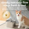 Veken Innovation Award Winner Stainless Steel Cat Water Fountain, 95oz/2.8L