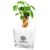 Gadmar White Gravel, Soil-Free, Hygienic, Decorative Plant, Stylish, Clean, Genuine,