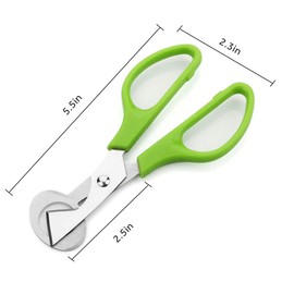 2PCS Quail Egg Scissors Stainless Steel Anti-rust Quail Egg Clipper Shell Cutters Separator Small Quail Egg Scissors Opener Cutter Blade Plastic Handle Kitchen Egg Shears Tool Green