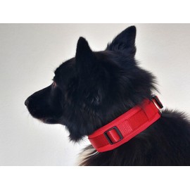 BUDDYPACK Comfortable Dog Collar Extra Wide with Neoprene Pad for Small, Medium and Large Dogs Size XXS-3XL (S/M (41-46 cm), Red)