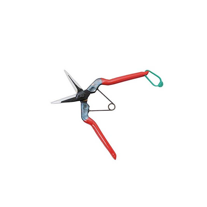 Konsho Chikamasa Large Fruit Picking Shears 7.7 inches (195 mm)