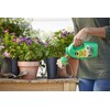 Miracle-Gro Miracle-Gro Pour & Feed Plant Food (Liquid), 32 fl.
