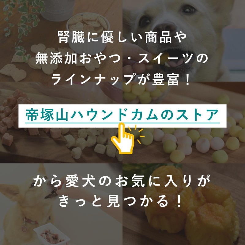 Tezukayama Hound Cam Dog Treat, Additive-free, Fruit Mix Bolo, Flour