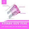 3 Amp Standard Fuse, 100 Pack Auto Fuses ATC/ATO Standard