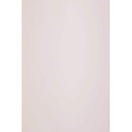 Netuno 50 x Pastel Pink Natural Paper DIN A4 210 x 297 mm 120 g Keaykolour Pastel Pink Craft Paper A4 Light Pink High Quality for Printing Tasks Invitation Cards Wedding Cards Thank You Cards