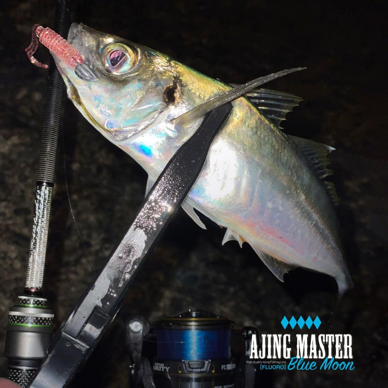 VARIVAS (バリバス) Ajing Master Fluorocarbon Blue Moon 150m 4Lb (No.