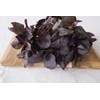 SAFLAX - Organic - Red Basil - 400 Seeds -