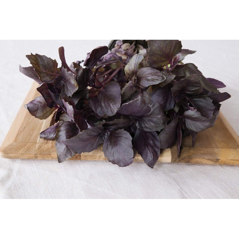 SAFLAX - Organic - Red Basil - 400 Seeds -