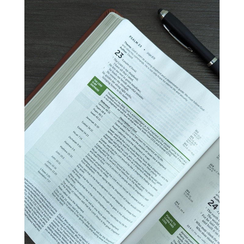 NLT Life Application Study Bible, Third Edition (Genuine Leather, Brown,