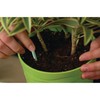 Miracle-Gro Indoor Plant Food Spikes, Includes 24 Spikes - Continuous