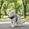 pangdi Cat Harness and Leash Escape Proof Kitten Harness Cat