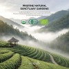 Matchaia Té Verde Matcha Orgánico En Polvo 60 G Certificado