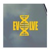 Evolve Vinyl Sticker Decal DNA Strand Darwin Monkey to Man
