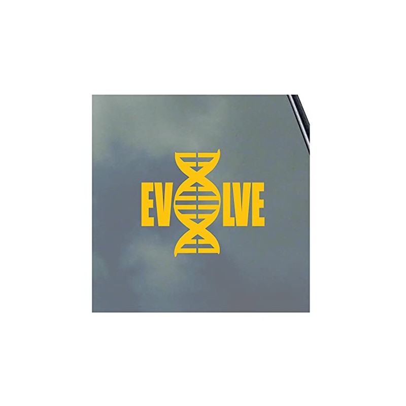 Evolve Vinyl Sticker Decal DNA Strand Darwin Monkey to Man