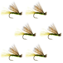 The Fly Fishing Place Olive X Caddis Emerging Caddis Adult Trout Dry Fly - Set of 6 Flies Size 18