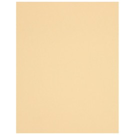 PA Paper Accents Textured Cardstock 8.5" x 11" Latte, 73lb Colored cardstock Paper for Card Making, Scrapbooking, Printing, Quilling and Crafts, 25 Piece Pack